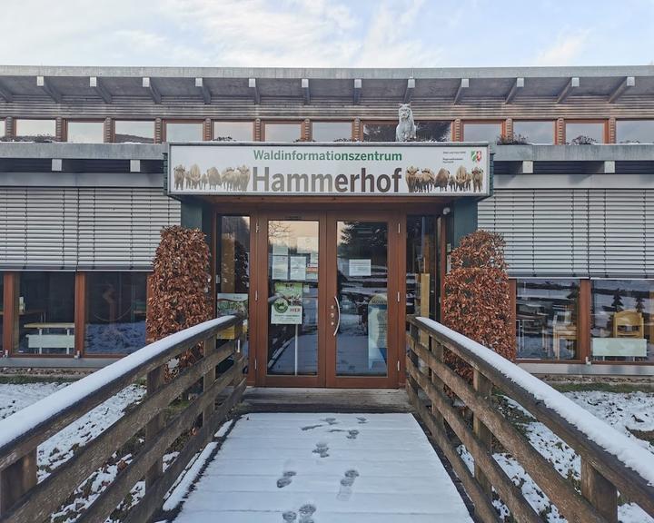 Cafe im Hammerhof