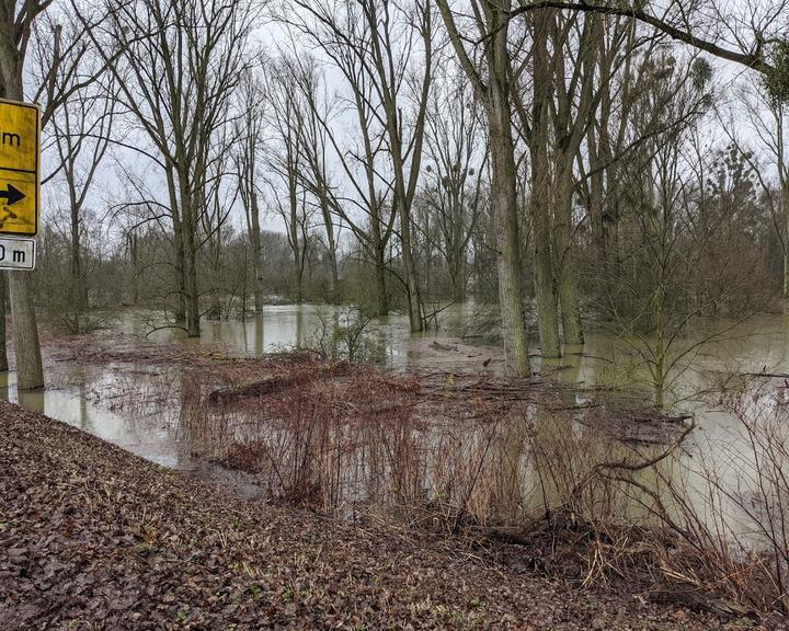 Extratour Zum Alten Rhein